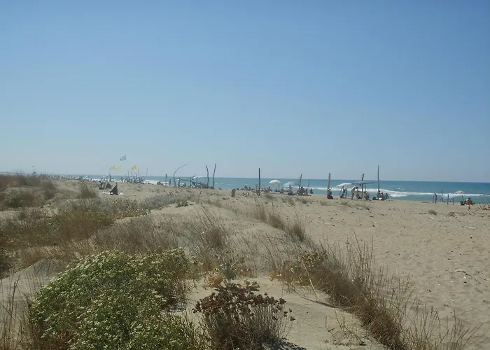 Apartment Vale Viareggio