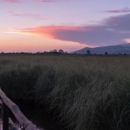 Vale В'яреджо